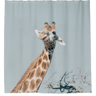 CORTINA PARA BOX SAFARI