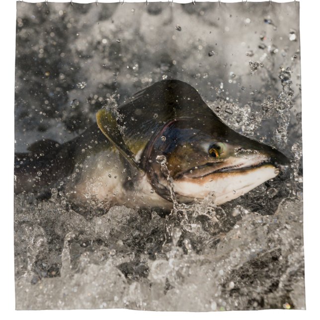 Cortina Para Box Salmão de Salmão (Frente)