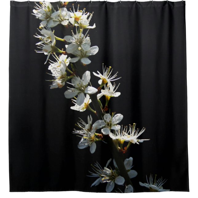 Cortina Para Box Sccna Hawthorn Flowers (Frente)