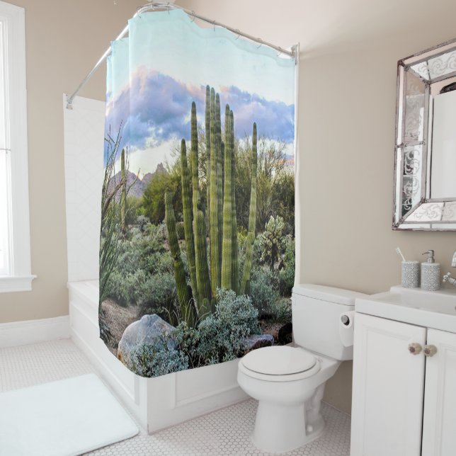 Cortina Para Box Scottsdale Succulent Sunset (In Situ)