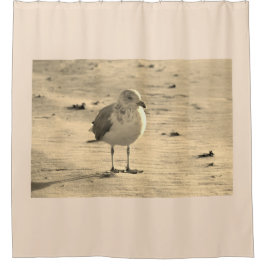 Cortina Para Box Seagull em Beach