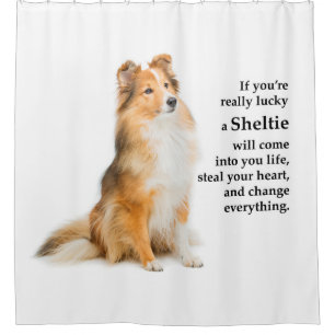 Cortina Para Box Sheltie Lucky
