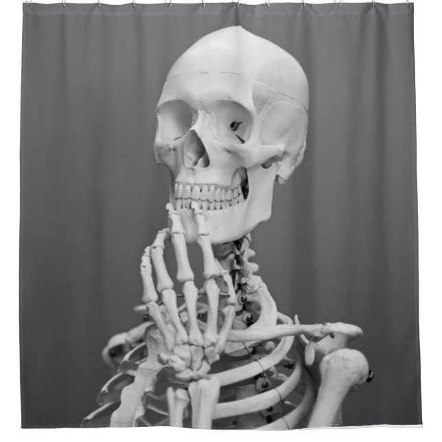 Cortina Para Box Skeleton Skull Halloween Cinza Preta e Branca (Frente)