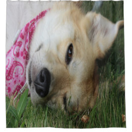 Cortina Para Box Smoochie