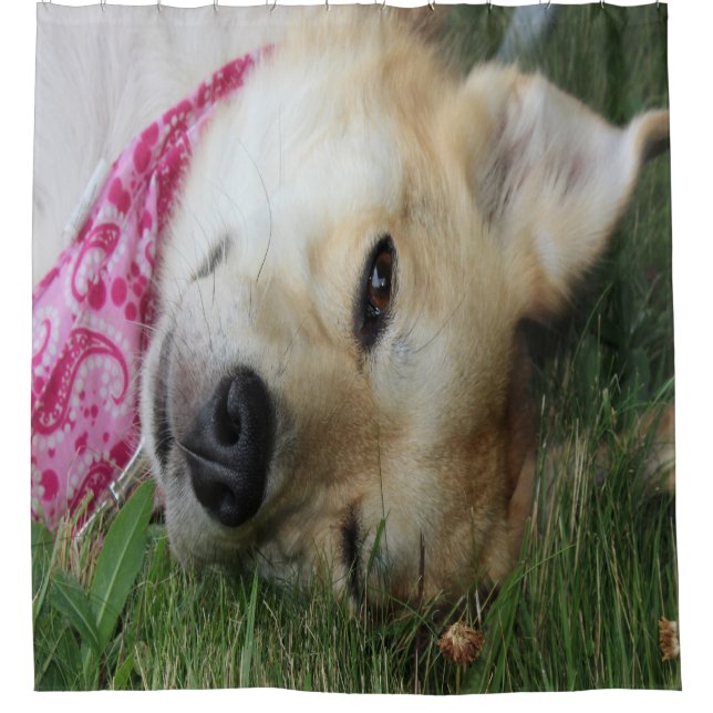 Cortina Para Box Smoochie (Frente)