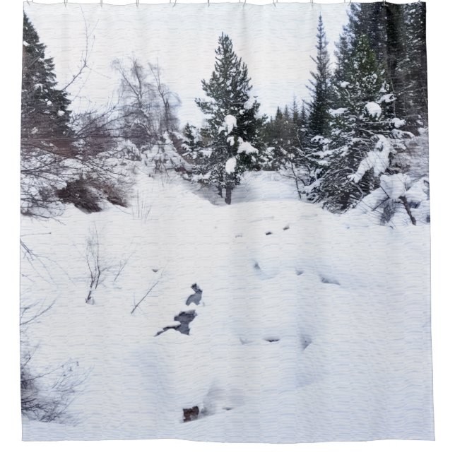 Cortina Para Box Snowy Mountain Shower Curtain (Frente)