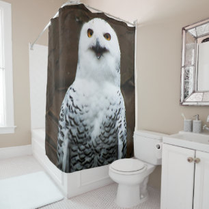 Cortina Para Box Snowy Owl sccn