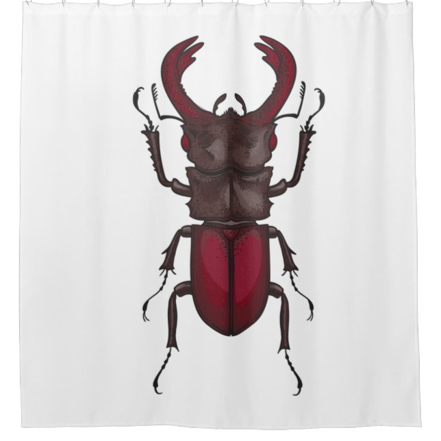 Cortina Para Box Stag beetle (Frente)