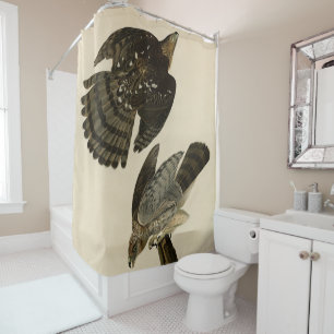 Cortina Para Box Stanley (Cooper's) Hawk Audubon's Birds of America