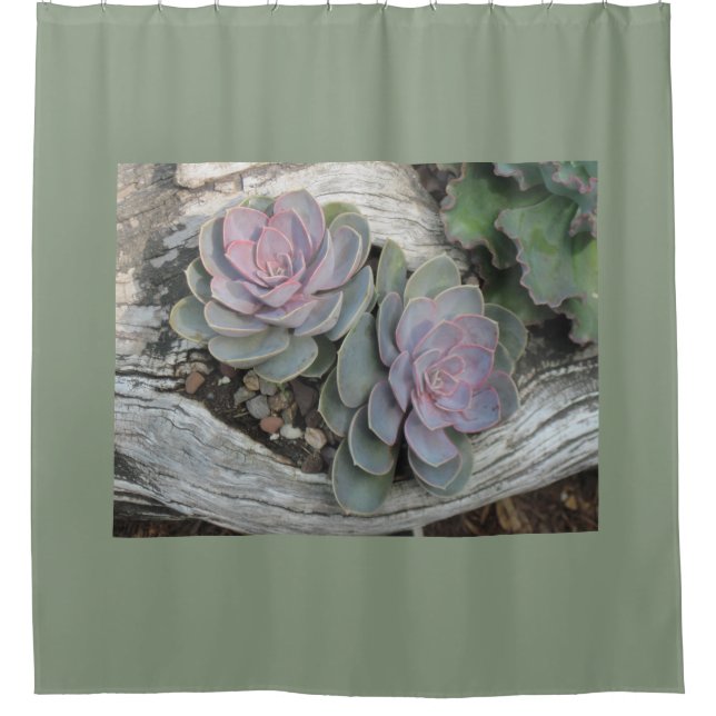 Cortina Para Box Succulent de Echeveria (Frente)