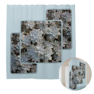 Cortina Para Box Suculentes de Azul-Silvery Fotografia Botânica