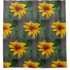 Cortina Para Box Susan de olhos negros