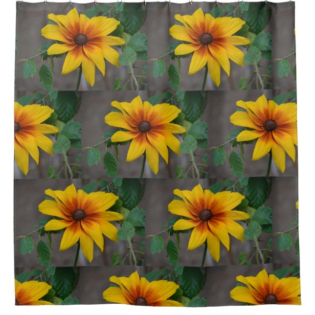 Cortina Para Box Susan de olhos negros (Frente)