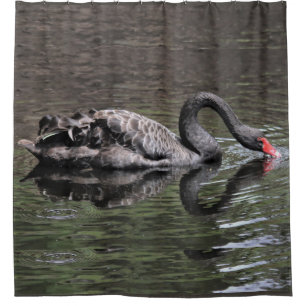 Cortina Para Box Swan Negro