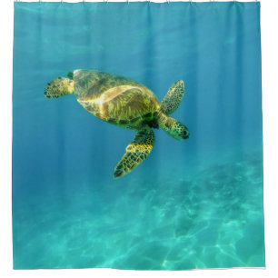 Cortina Para Box Tartaruga marinha nadando em água oceânica turqu
