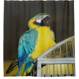 Cortina Para Box Taz.