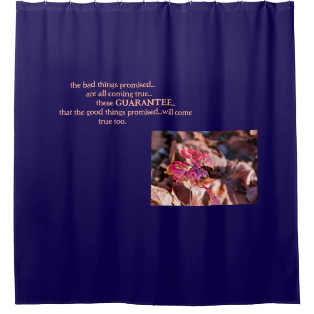 Cortina Para Box The Guarantee-Shower Curtain (Frente)