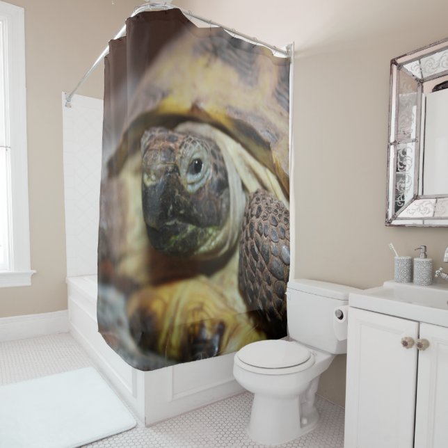 Cortina Para Box Tibbs (In Situ)