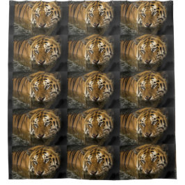 Cortina Para Box Tiger Cat Chá Bath Home Destiny