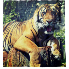 Cortina Para Box Tigre