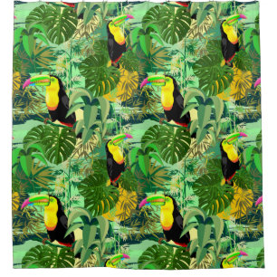 Cortina Para Box Toucan na floresta húmida verde de Amazónia