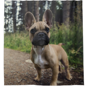 Cortina Para Box Travesseiro decorativo de Buldogue Francês