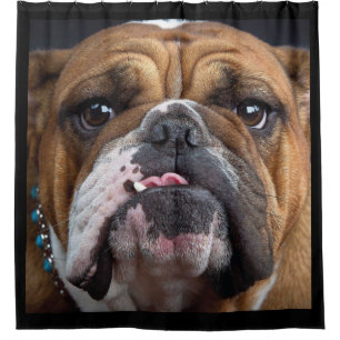 Cortina Para Box Travesseiro decorativo Inglês