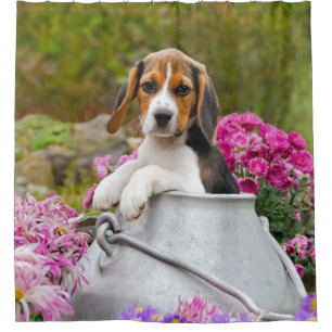 Cortina Para Box Tricolor Cão Grito Puppy numa Triturna de Leite -