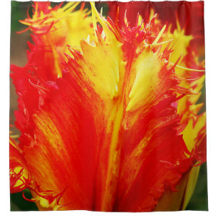 Cortina Para Box Tulipa Vermelha E Amarelo