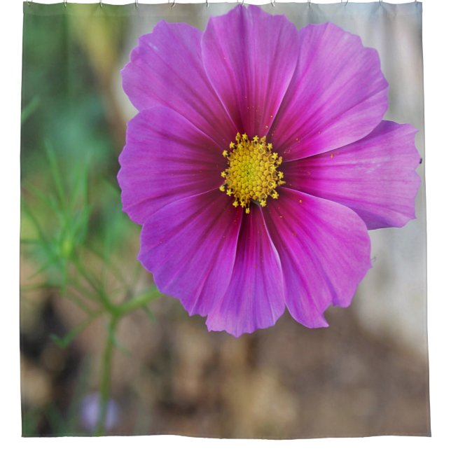 Cortina Para Box Uma galáxia dentro de uma flor (Frente)