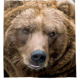 Cortina Para Box Urso de Brown