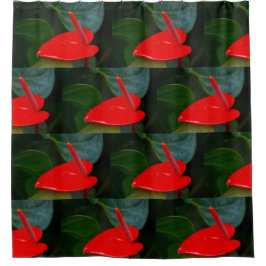 Cortina Para Box Vermelho Anticorpo Inferior