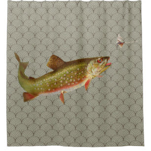 Cortina Para Box Vintage Rainbow Troubleshoot Fly Fisheries