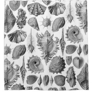 Cortina Para Box Vintage Seashells