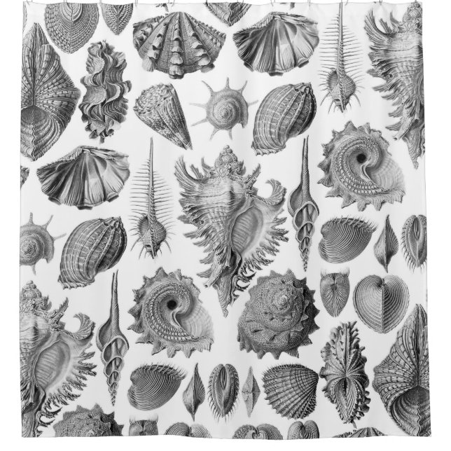 Cortina Para Box Vintage Seashells (Frente)