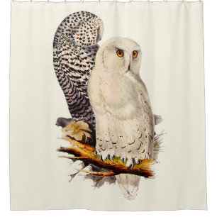 Cortina Para Box Vintage Snowy Owl Drawing