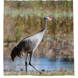 Cortina Para Box Walking Tall, Sandhill Crane