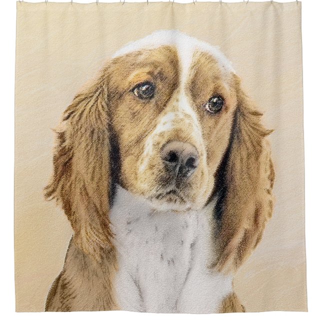 Cortina Para Box Welsh Springer Spaniel Painting - Arte Original De (Frente)