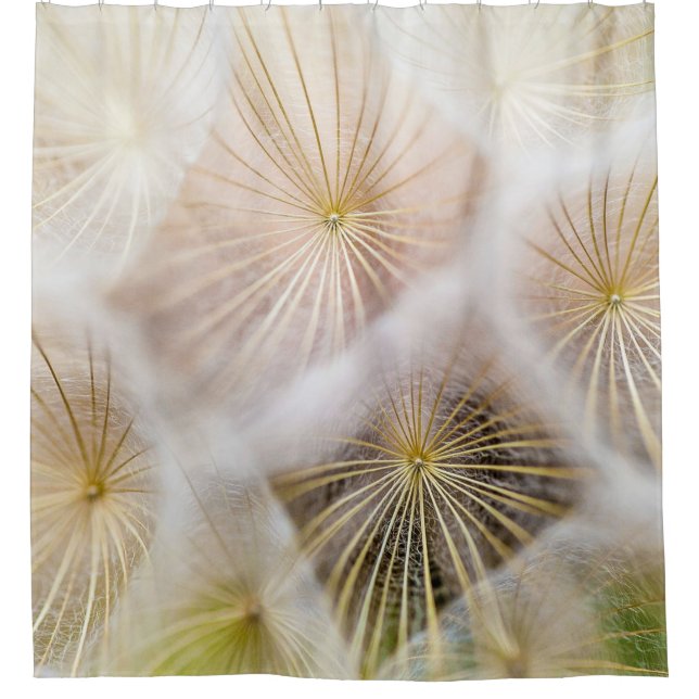 Cortina Para Box White dandelion flowers (Frente)