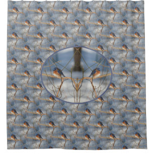 Cortina Para Box Winter Bluebird Nature Bird