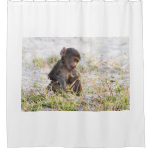 Cortina Para Box Young Baboon