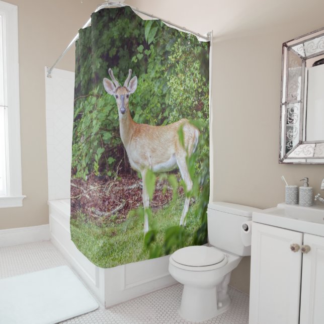 Cortina Para Box Young Buck em Velvet (In Situ)