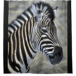 Cortina Para Box Zebra Amante Cortina de Chá de Arte