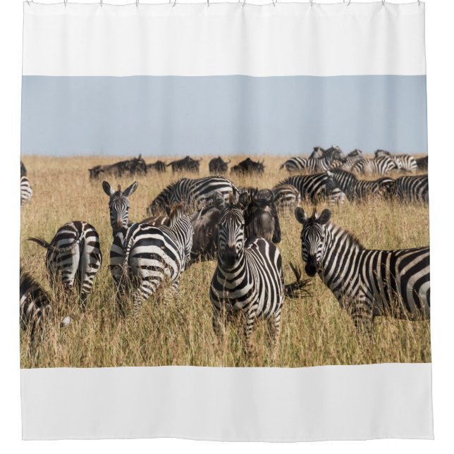 Cortina Para Box Zebra do Grant (Frente)