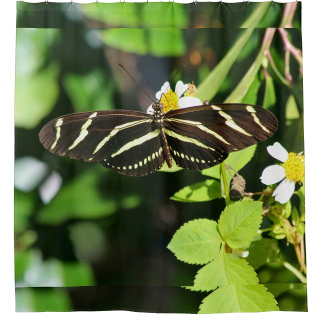 Cortina Para Box Zebra Longwing Butterfly (Frente)