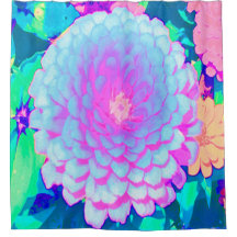 Zinnia bonito Roxo e Rosa no Jardim de Verão