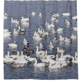 Cortina Para Chuveiro Bando de Neve na Praia