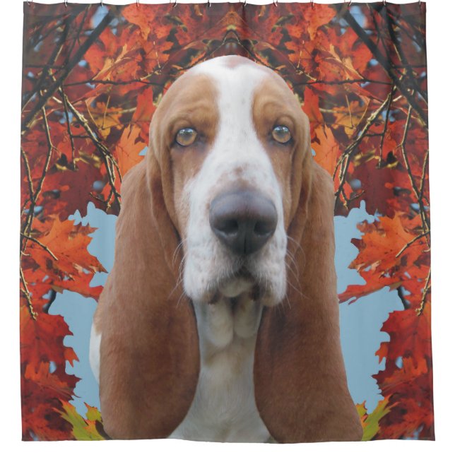 Cortina Para Chuveiro Basset Hound (Frente)