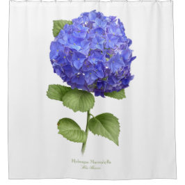 Cortina Para Chuveiro Blue Hydrangea