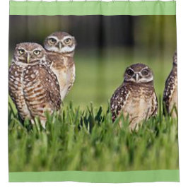 Cortina Para Chuveiro burrowing corujas